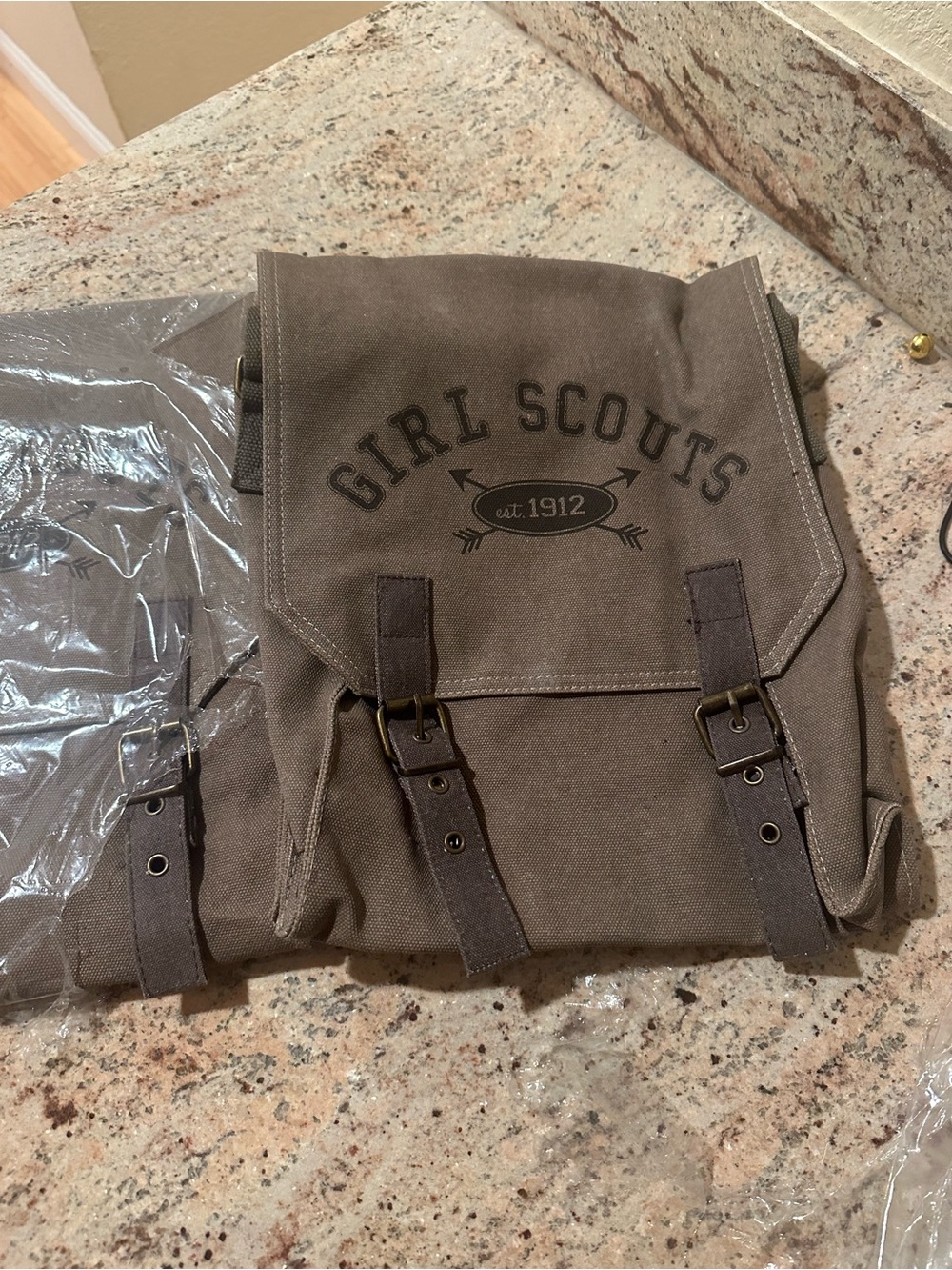 Girl Scout message bag